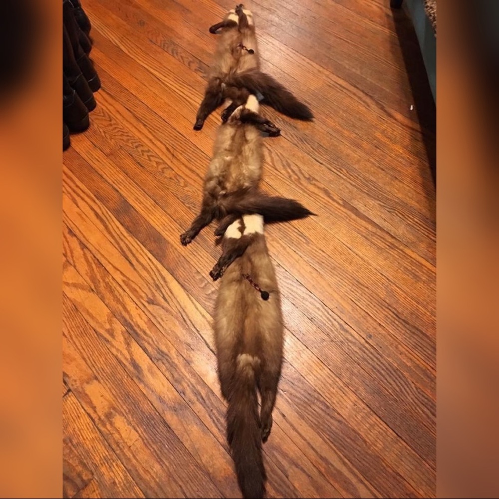 Mink Stole 3 Vintage Fur 40’s scarf - Picture 3 of 8